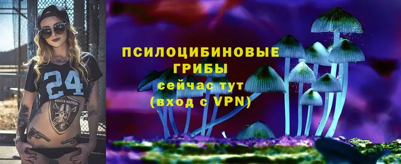 Купить наркотики Новотитаровская Гашиш  Бошки Шишки  Кокаин  СОЛЬ  Мефедрон 